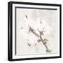 Cotton Boll 2-Melody Hogan-Framed Art Print