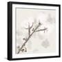 Cotton Boll 3-Melody Hogan-Framed Premium Giclee Print