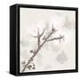 Cotton Boll 3-Melody Hogan-Framed Stretched Canvas