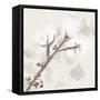 Cotton Boll 3-Melody Hogan-Framed Stretched Canvas