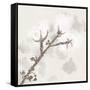 Cotton Boll 3-Melody Hogan-Framed Stretched Canvas