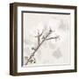 Cotton Boll 3-Melody Hogan-Framed Art Print