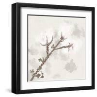 Cotton Boll 3-Melody Hogan-Framed Art Print