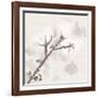 Cotton Boll 3-Melody Hogan-Framed Art Print