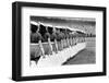 Cotton Bowl Cheerleaders-Robert W^ Kelley-Framed Photographic Print