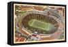 Cotton Bowl, Dallas, Texas-null-Framed Stretched Canvas