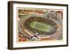 Cotton Bowl, Dallas, Texas-null-Framed Art Print