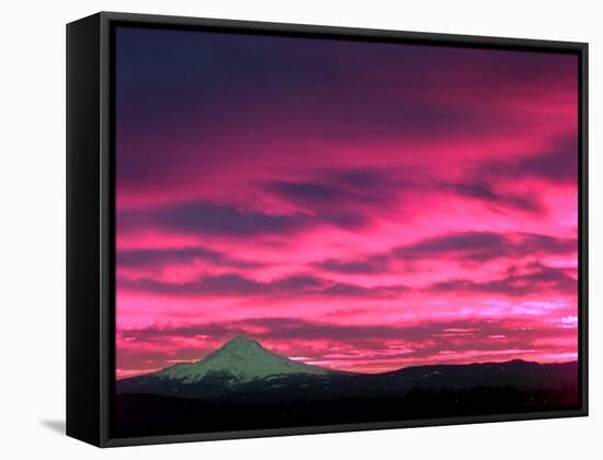 Cotton Candy Clouds Catch the Early Morning Sun-null-Framed Stretched Canvas
