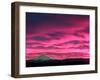 Cotton Candy Clouds Catch the Early Morning Sun-null-Framed Photographic Print