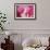 Cotton Candy Curly Cue-Camilla D'Errico-Framed Premium Giclee Print displayed on a wall