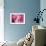 Cotton Candy Curly Cue-Camilla D'Errico-Framed Art Print displayed on a wall