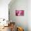 Cotton Candy Curly Cue-Camilla D'Errico-Mounted Art Print displayed on a wall