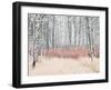 Cotton Candy Forest-Mikael Svensson-Framed Giclee Print