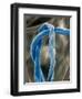 Cotton Fibers-Jim Zuckerman-Framed Photographic Print