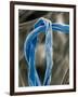 Cotton Fibers-Jim Zuckerman-Framed Photographic Print