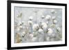 Cotton Field Blue Gray Crop-Julia Purinton-Framed Art Print