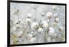 Cotton Field Blue Gray Crop-Julia Purinton-Framed Art Print