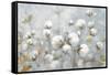 Cotton Field Blue Gray Crop-Julia Purinton-Framed Stretched Canvas