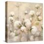 Cotton Field Crop-Julia Purinton-Stretched Canvas