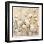 Cotton Field Crop-Julia Purinton-Framed Art Print