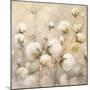 Cotton Field Crop-Julia Purinton-Mounted Art Print