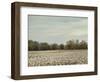 Cotton Field in Autumn-Jai Johnson-Framed Giclee Print