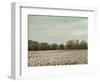 Cotton Field in Autumn-Jai Johnson-Framed Giclee Print