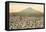 Cotton Field, Las Cruces, New Mexico-null-Framed Stretched Canvas