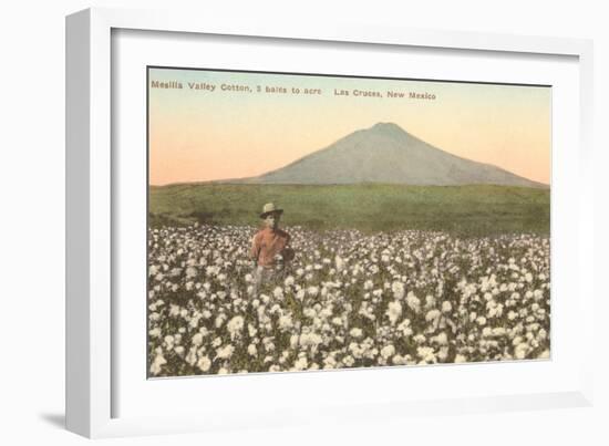 Cotton Field, Las Cruces, New Mexico-null-Framed Art Print