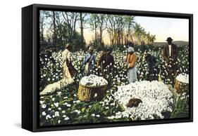 Cotton Field Workers-null-Framed Stretched Canvas