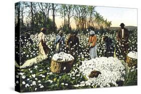 Cotton Field Workers-null-Stretched Canvas