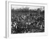 Cotton Fields-null-Framed Photographic Print