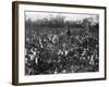 Cotton Fields-null-Framed Photographic Print