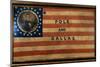 Cotton Flag Banner-David J. Frent-Mounted Photographic Print