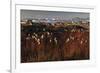 Cotton Grass (Eriophorum Sp) Near Coastal Settlement, Saqqaq, Greenland, August 2009-Jensen-Framed Photographic Print