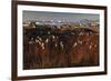 Cotton Grass (Eriophorum Sp) Near Coastal Settlement, Saqqaq, Greenland, August 2009-Jensen-Framed Photographic Print