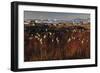 Cotton Grass (Eriophorum Sp) Near Coastal Settlement, Saqqaq, Greenland, August 2009-Jensen-Framed Photographic Print