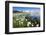 Cotton grass frames snowy peaks reflected in water, Val Dal Bugliet, Bernina Pass, Canton of Graubu-Roberto Moiola-Framed Photographic Print