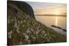 Cotton grass growing on Garbh Eilean, Hebrides, Scotland-SCOTLAND: The Big Picture-Stretched Canvas