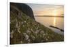 Cotton grass growing on Garbh Eilean, Hebrides, Scotland-SCOTLAND: The Big Picture-Framed Photographic Print