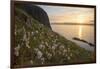 Cotton grass growing on Garbh Eilean, Hebrides, Scotland-SCOTLAND: The Big Picture-Framed Photographic Print