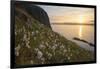 Cotton grass growing on Garbh Eilean, Hebrides, Scotland-SCOTLAND: The Big Picture-Framed Photographic Print