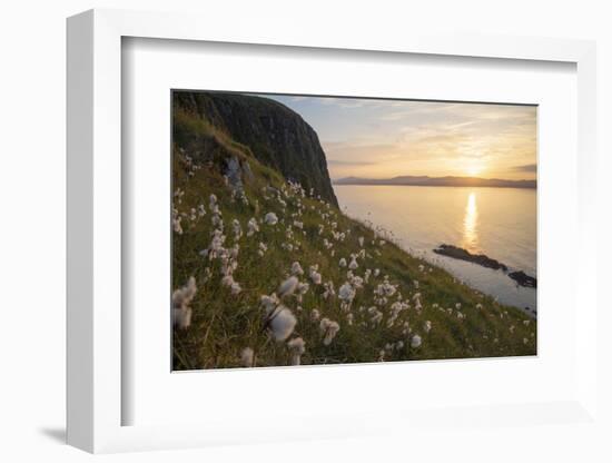 Cotton grass growing on Garbh Eilean, Hebrides, Scotland-SCOTLAND: The Big Picture-Framed Photographic Print