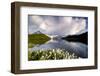 Cotton grass in bloom surrounding Bachalpsee lake and mountains, Grindelwald, Bernese Oberland-Roberto Moiola-Framed Photographic Print