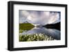 Cotton grass in bloom surrounding Bachalpsee lake and mountains, Grindelwald, Bernese Oberland-Roberto Moiola-Framed Photographic Print