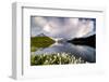 Cotton grass in bloom surrounding Bachalpsee lake and mountains, Grindelwald, Bernese Oberland-Roberto Moiola-Framed Photographic Print