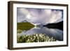 Cotton grass in bloom surrounding Bachalpsee lake and mountains, Grindelwald, Bernese Oberland-Roberto Moiola-Framed Photographic Print