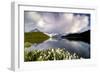 Cotton grass in bloom surrounding Bachalpsee lake and mountains, Grindelwald, Bernese Oberland-Roberto Moiola-Framed Photographic Print