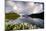 Cotton grass in bloom surrounding Bachalpsee lake and mountains, Grindelwald, Bernese Oberland-Roberto Moiola-Mounted Photographic Print