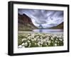 Cotton grass on lake Riffelsee while a thunderstorm hits the Matterhorn Zermatt Canton of Valais Sw-ClickAlps-Framed Photographic Print